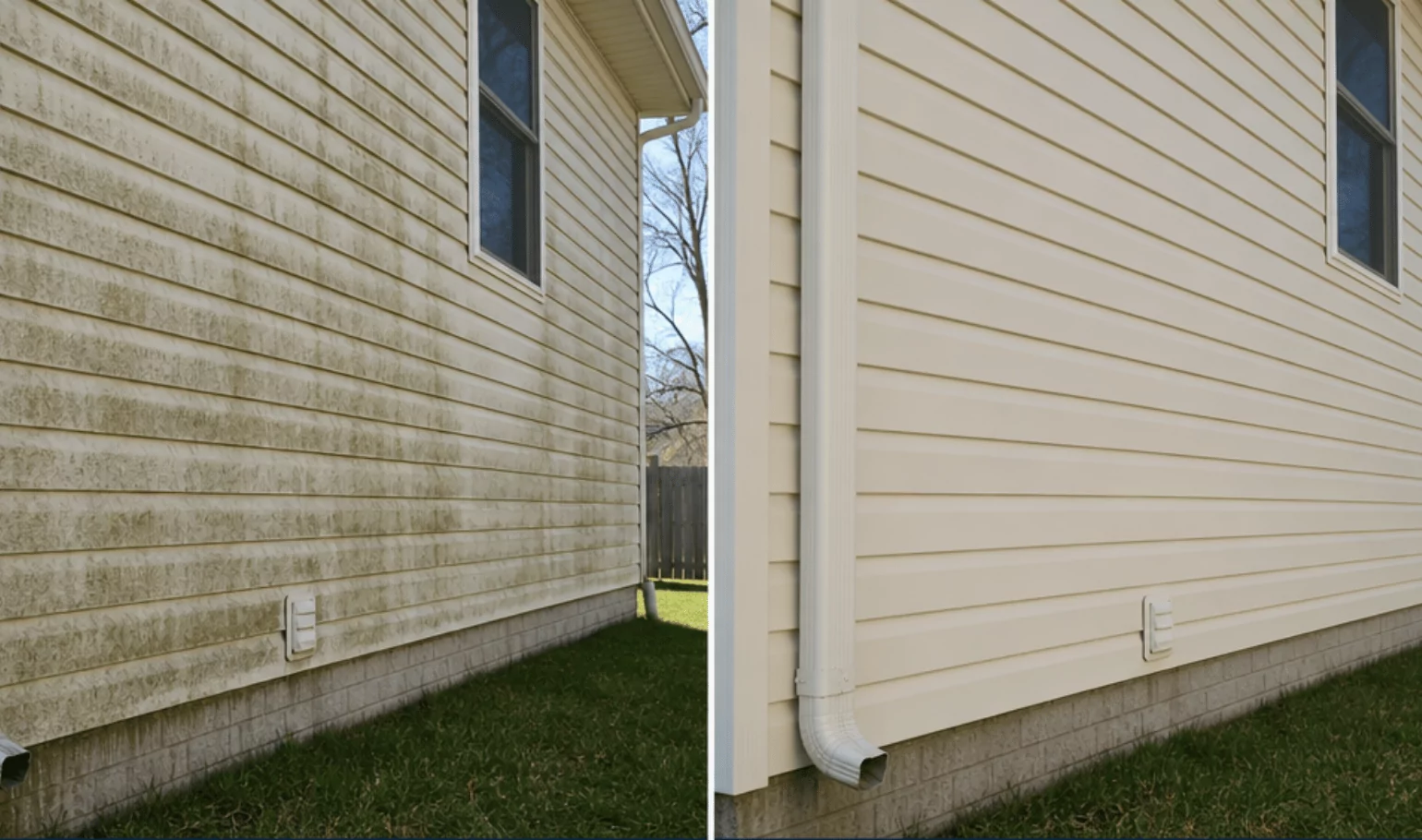 House render before with algae streaks, after completely clean